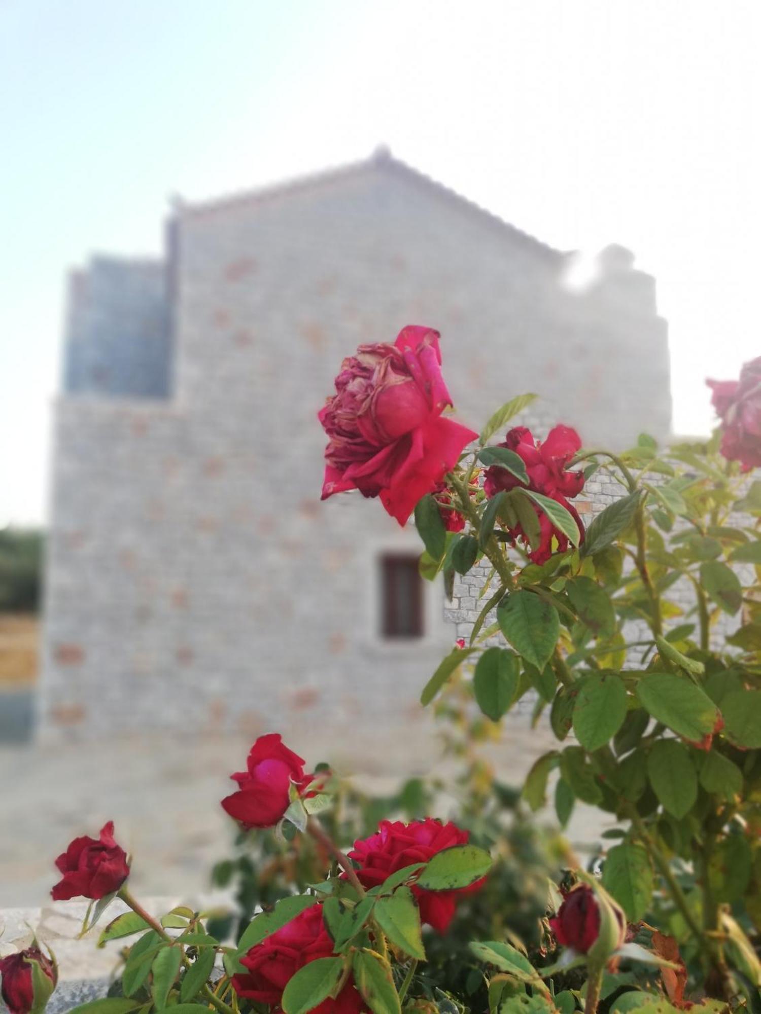 Athevillas Antonis * Mina